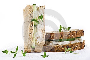 Cucumber and coleslaw sandwich