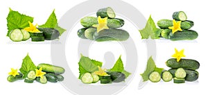 Cucumber collage set. Fresh green cucumber natural vegetables with leaves and flowers isolated on white background