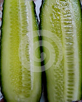 Cucumber in a cut. All tints green.