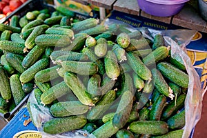 Cucumber. Fresh organic vegetables on sale at the local farmers summer market outdoors. Healthy organic food concept.