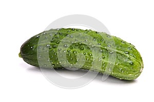 Cucumber isolated