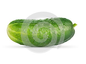 Cucumber isolated on white