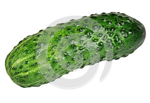 Cucumber it is isolated on a white background