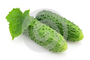 Cucumber with leaves