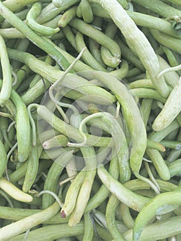 Cucumber in market