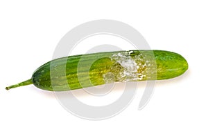 A cucumber with mold