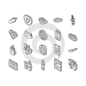Cucumber Natural Bio Vegetable isometric icons set vector