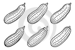 Cucumber Outline Pattern