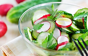 Cucumber and radish salad