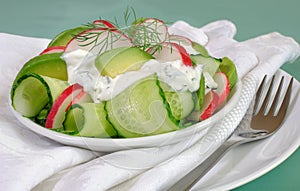 Cucumber salad with radish and avocado cream sauce