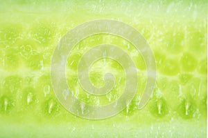 Cucumber slices macro background