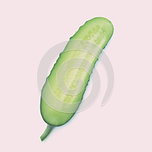 Cucumber slices on white background. Low contrast. Color toning