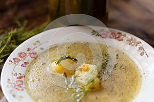 Cucumber soup traditional ukrainian and polish soup