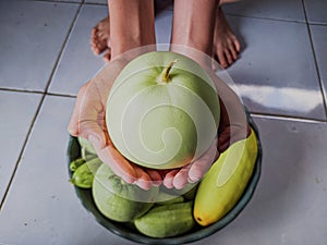 cucumber suri after harvest ( cucumis Mel L Var Reticulatus Naudin ).