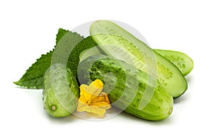 Cucumber vegetable closeup on white