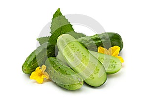 Cucumber vegetable closeup on white