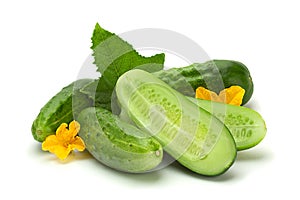 Cucumber vegetable closeup on white