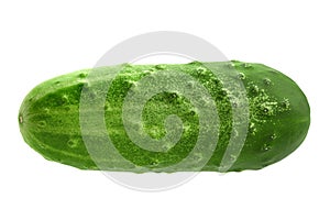 Cucumber vegetable closeup on white