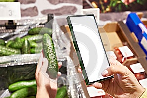 Cucumber vegetable in hand and smartphone