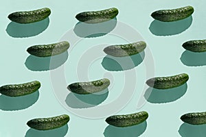 Cucumber  vegetable  pattern. Colorful of fresh cucumber on blue background.  Photography collage. Minimal summer vegetables patte