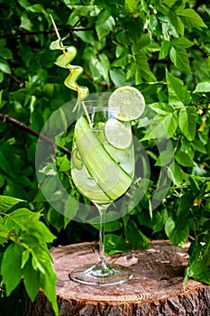 Cucumber Water or Lemonade in Glass with Lime on Wooden Stump in Forest. Refreshing Summer Drink Concept