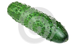 Cucumber on a white background