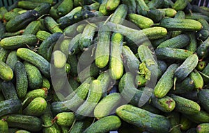 Cucumbers