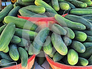 Cucumbers