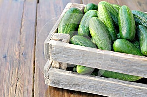 Cucumbers