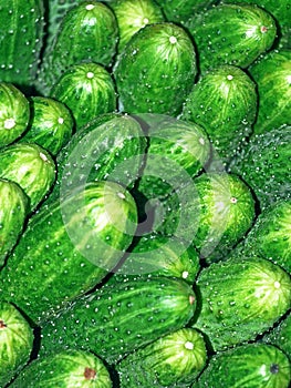 Cucumbers