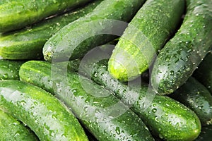 Cucumbers