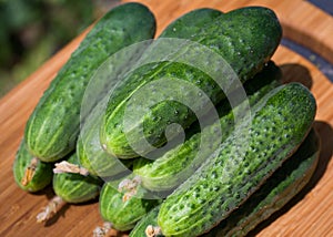 Cucumbers