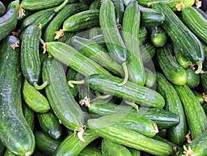 Cucumbers