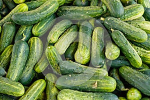 Cucumbers