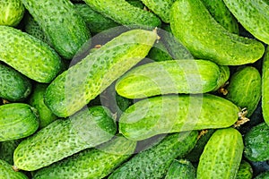 Cucumbers background