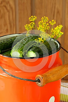 Cucumbers in brine drenched cans