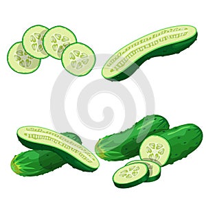 Cucumbers in cartoon style set. Whole cucumber, half, flying slices and cucumbers group. Fresh farm vegetables collection. Vector