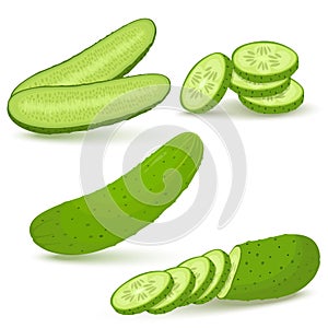 Cucumbers in flat style. Whole cucumber, half, slices and cucumbers group. Fresh farm vegetables collection. Vector illustrations