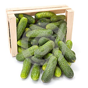 Cucumbers (Cucumis sativus) in wooden crate