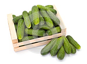 Cucumbers (Cucumis sativus) in wooden crate