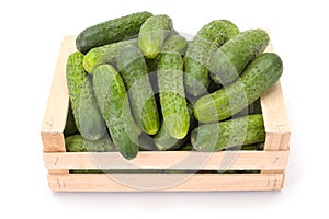 Cucumbers (Cucumis sativus) in wooden crate