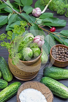 Cucumbers and dill sprigs in wooden box. Sweet peas, cherry twigs, cucumbers and  salt in coconut shell