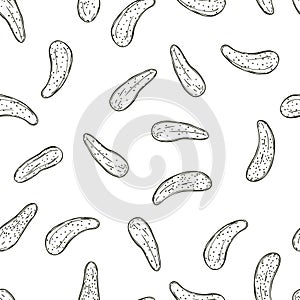 Cucumbers gherkins. Vector  seamless pattern