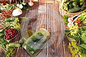 Cucumbers and ingredients for their salting, flat lay. The process of preparing marinades in Russia at home. Cucumbers, dill,