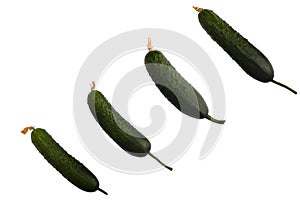 Cucumbers on isolated white background.Ripe fresh green cucumbers