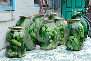Cucumbers in the jars prepared for preservation