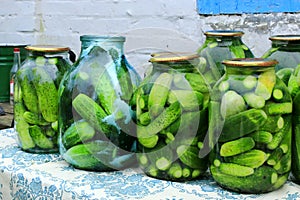 Cucumbers in the jars prepared for preservation