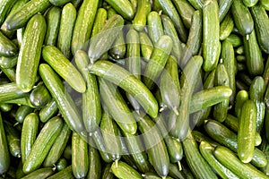 Cucumbers at market
