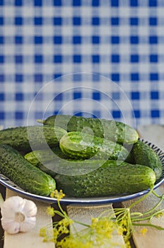 Cucumbers with pimples on the plate with tartan ba