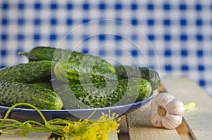 Cucumbers with pimples on the plate with tartan ba